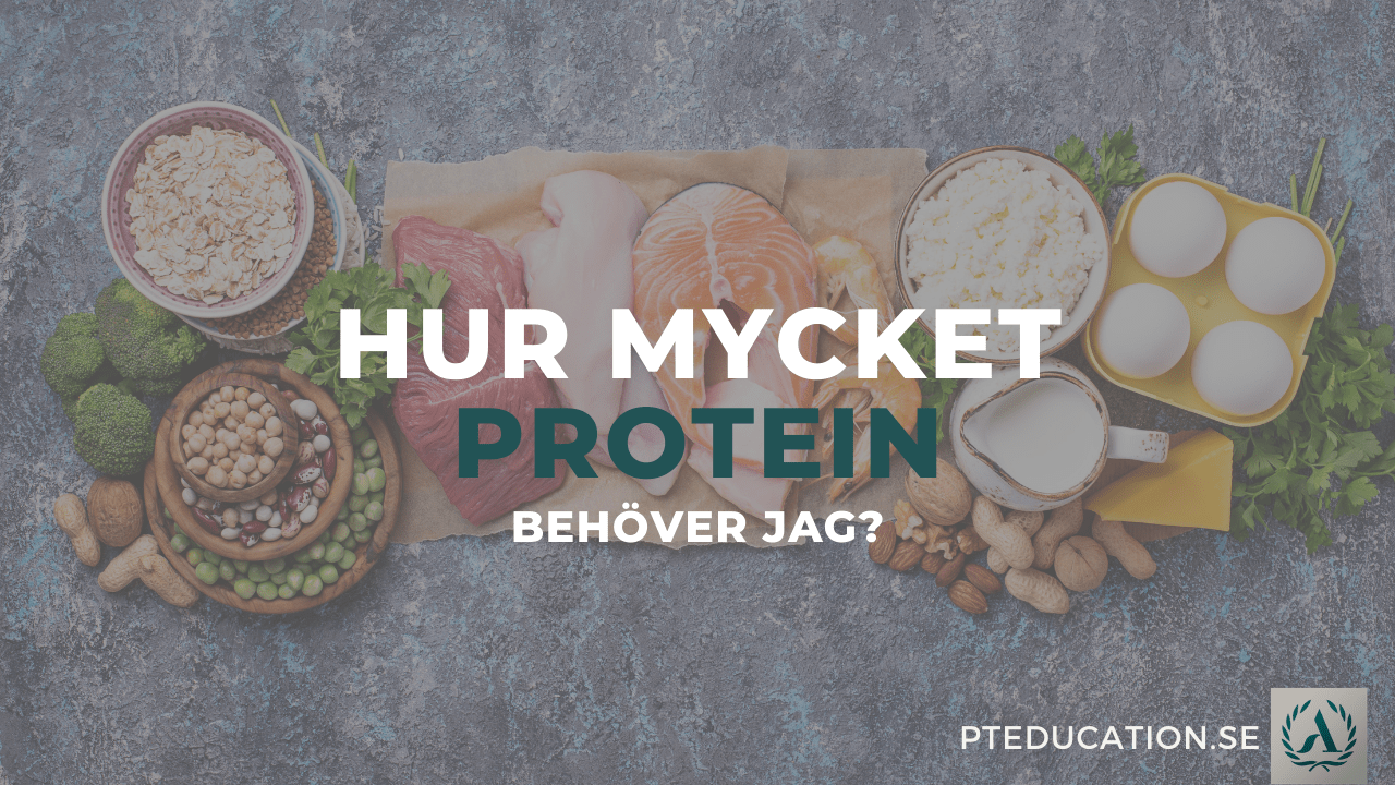 Hur mycket protein behöver jag